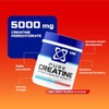 USN USN Micronised Creatine Powder 500g (79 Servings): Red Fruit