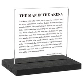 Inspirational Office Decor Sign for Cubicle Decor or Desk Decorations, the Man in the Arena Office Desk Décor for Home Office, Motivational Office Gifts for Men Coworker Employee Friend, DSF80