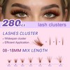 Brown Wispy Lash Clusters Natural Puffy Eyelash280 Pcs, 80D Curly