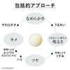 Kanebo Fusion Solution [Serum]