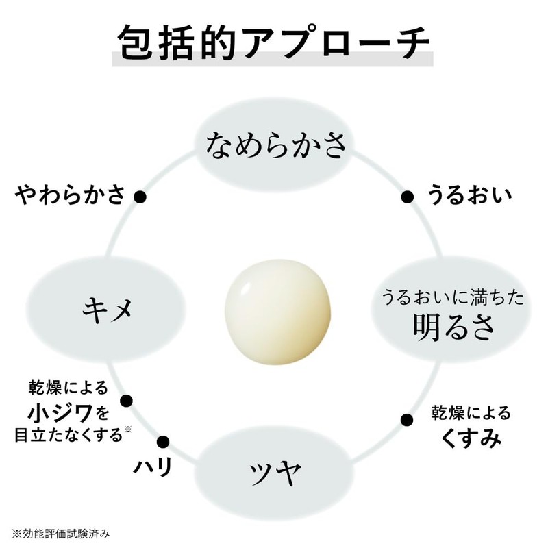 Kanebo Fusion Solution [Serum]
