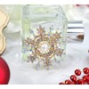 Gyn&Joy Crystal Winter Snowflake Brooch pins for Women, crystal, crystal