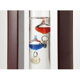 Chatani Glass Float Thermometer