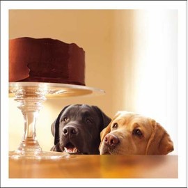 Woodmansterne Loose Leashes Blank irthday Card - Leave Us a Slice