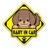 Dachshund Cute Dog Sign Sticker for Select Dog Breeds Waterproof