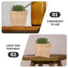 ABOOFAN 6pcs Mini Woven, Miniature Flower Woodchip Easter Egg Small