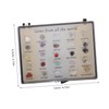 FELTECHELECTR Educational Geology Kit 25 Specimen Collection Crystal and Gemstone