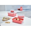Tefal Masterseal Colour Edition Terracotta Rectangular Set of 4