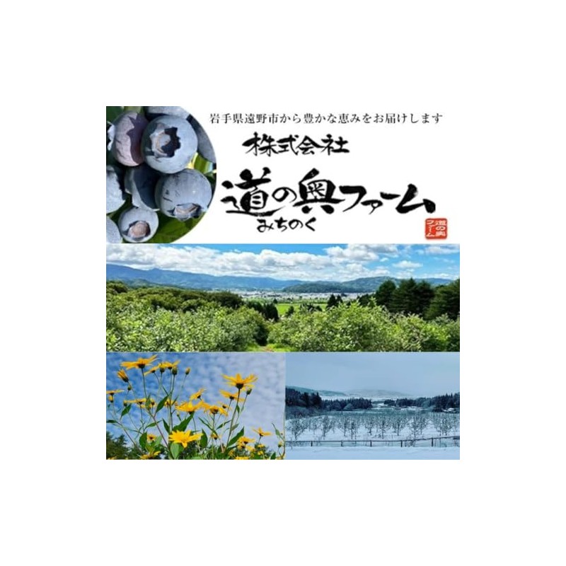 ブルーベリーパウダー 20g 国産 無添加 農薬不使用 フルーツパウダー 食紅