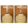 Mist Humidifier Small Onion Shape USB Lighting Quiet Small Air