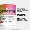 Cellucor Cellucor Creatine Powder, Fruit Punch Flavor - Increases Strength,