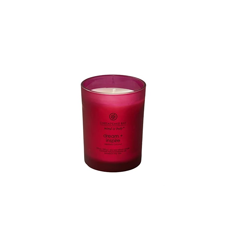 Chesapeake Bay Candle PT41689 Candle, Medium Jar, Dream & Inspire,