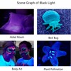 Y40 Purple Light Flashlight High Power LED 365NM UV Torch
