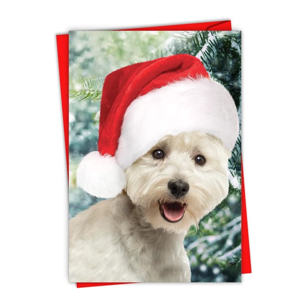 NobleWorks - Happy Holidays Greeting for Animal Lovers, Adorable Merry