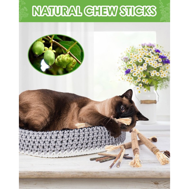 Silvervine Chew Sticks for Cats, 10 Pack Natural Catnip Chew