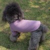 Lovelonglong Ribbed Dog T-Shirt Cotton Knitted Dog Sweaters for All