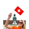 25 Packs Small Switzerland Flags on Handheld Stick，Miniature Swiss Flag