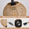 ALAISLYC 3 Lights Plug in Pendant Light with Cord On/Off