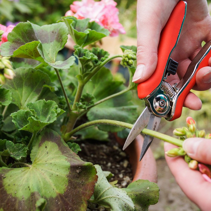 Connex Mini Trimmerschere FLOR70368