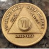 8 Year AA Medallion Alcoholics Anonymous Sobriety Chip Coin VII