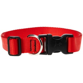 LupinePet 1 Inch Adjustable Dog Collar for Medium to Large Dogs