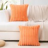 JOTOM Set of 2 Double-Sided Faux Fur Plush Cushion Covers