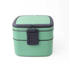 DIVCHI Lunch Box Meal Holder 2 Compartments Bento Boxes With Spoon & Fork Food Storage Dishwasher & Freezer Safe Lunchbox With Carry Handle for Men Women & kids (Green)