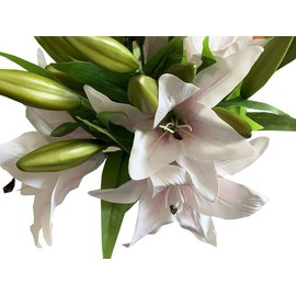 7 Pcs Artificial Lily Flowers Artificial Lillies Flowers for Home Wedding Bouquets Home Hotel Party Decor Graves Arrangement (Pink core)