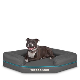 The Dog’s Bed Orthopedic Memory Foam Corner Dog Bed, Oxford Fabric, Grey with Blue Trim, Medium