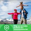 Vitabay Ginkgo Biloba 6000 mg, 365 tablets, time-optimised release, with