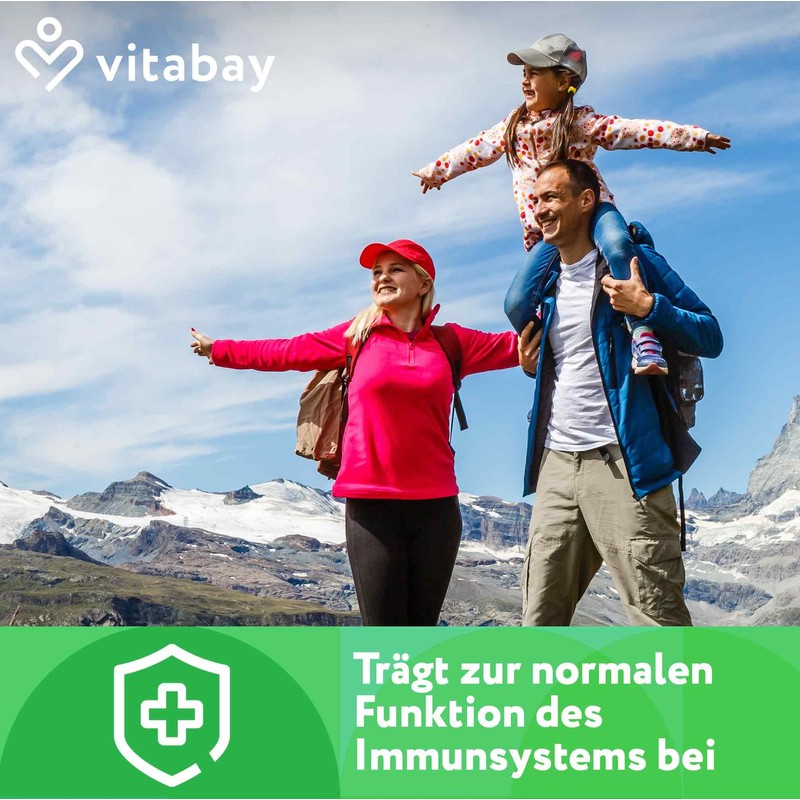 Vitabay Ginkgo Biloba 6000 mg, 365 tablets, time-optimised release, with
