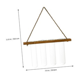 Abaodam Wall-Mounted Hydroponic Test Tube Vase Creative Hanging Planter for Home Decor Random Wall Propagation Plant Holder for Flowers and Greenery