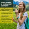 GORNVB (2 Pack) Mullein Drops for Lungs - Lungs Cleanse