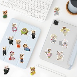 JEYORZY Pack of 62 stickers, cute stickers, funny cat sticker set, cute cat stickers, waterproof, for cat lovers, water bottles, scrapbook, phone