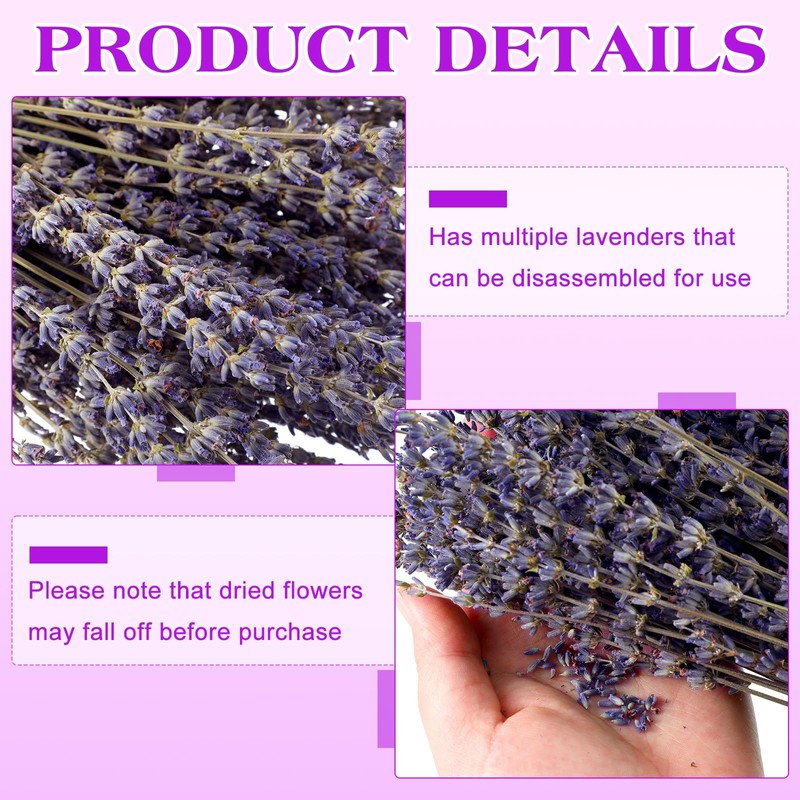 Jutom 12 Pack Total 2280 Stems Dried Lavender Bundle Bulk