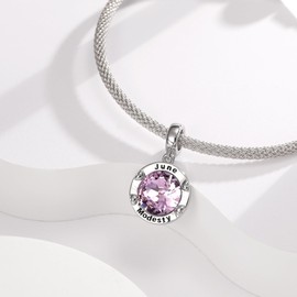 AMATOLOVE June Purple Birthstone Charms for Bracelets Modesty Bead Charm for Women Birthday Christmas Gifts for Mom Grandma Jewelry Gifts for Mothers Day