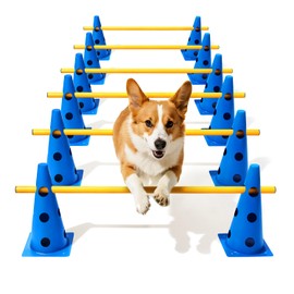 Dog Agility Course Backyard Set, Dog Agility Hurdle Cone Set with Height Adjustable Crossbar for Rehabilitation & Beginners, Dog Agility Equipment for Dog Obstacle Course - 12 Inch
