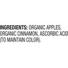 Santa Cruz Organic Cinnamon Apple Sauce Jars, 23oz (Pack of