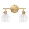 Shenmoyl Bathroom Light Fixtures, 2-Light Brass Vanity Wall Light Over