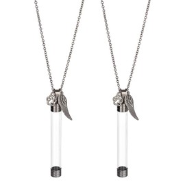 DELORIGIN 2pcs Pet Whisker Memorial Necklace Clear Plastic Tube Bottle Pendant with Paw Print and Wings Charms Iron Chain Jewelry Urn Ashes Memorial Pendant Keepsake for Cat Whiskers Pet or Human