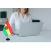 2 Pack Bolivia Flag Bolivia Deluxe Desk Flag Set -
