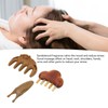 Sandalwood Meridian Comb Nose Massager Rosewood Scalp Massage Comb Set