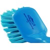 Salmon Technology Stiff General Purpose Brush in Blue