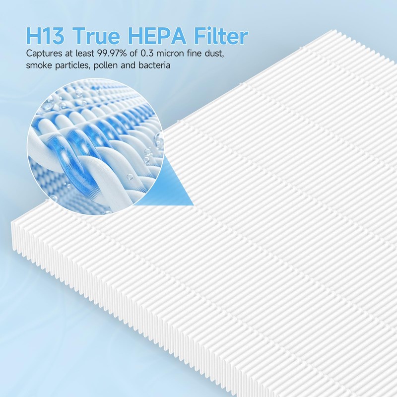 4 Pack HAP603 Replacement Filter Compatible with ECOSELF HAP603 /