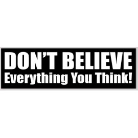 Don't Believe Everything You Think 3x10 Vinyl Bumper Sticker