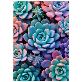 Great Jigsaw Puzzles for Adults 300 Pieces Colorful Succulents Puzzles for Adults Toys Gift Family Decoration Kids Puzzle
