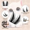 Cat Eye Extensión De Pestañas Jms&jms 8-18mm C Manga Lash
