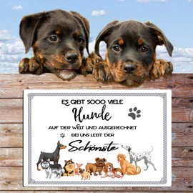 TRIOSK Tin Sign Dog Funny with Saying “Es gibt so viele Dogs” in German 20 x 30 cm Metal Sign Sayings Decorative Sign Gift for Dog Lovers Women Men