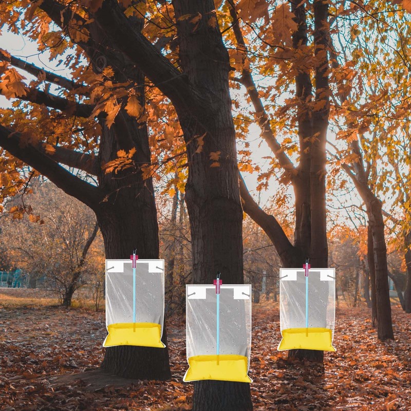 Reallnaive 12 Set Maple Syrup Tapping Kit Maple Tree Sap