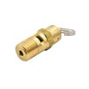 Interstate Pneumatics V125-4 ASME Brass Safety Valve w/Pull Ring 1/4